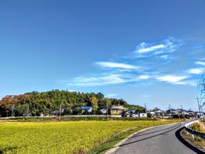 【終了】茨城県稲敷市移住体験ツアー→【オンライン形式】の写真