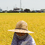 『米』の画像