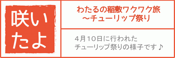『どんな田舎　チューリップ祭り』の画像