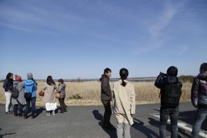 『霞ヶ浦湖畔』の画像