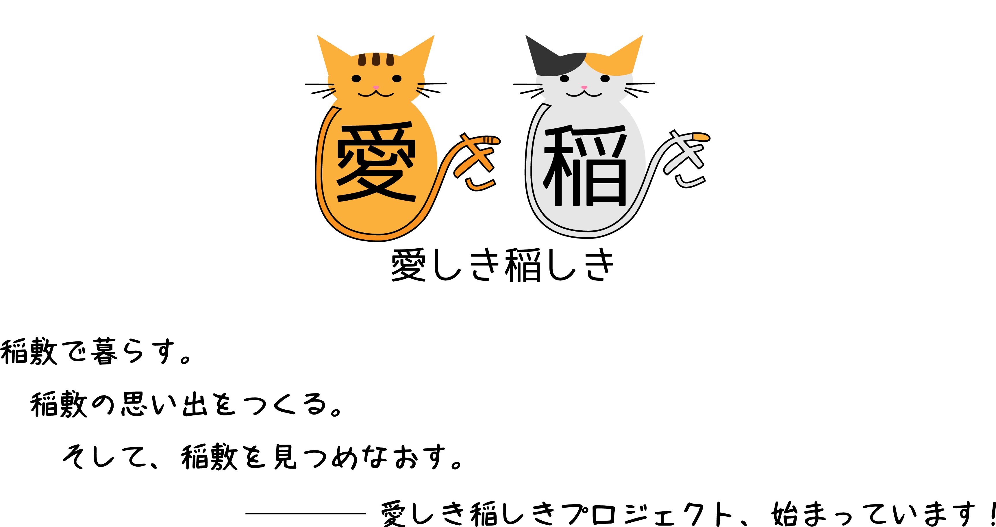 『愛しき稲しきネコ』の画像