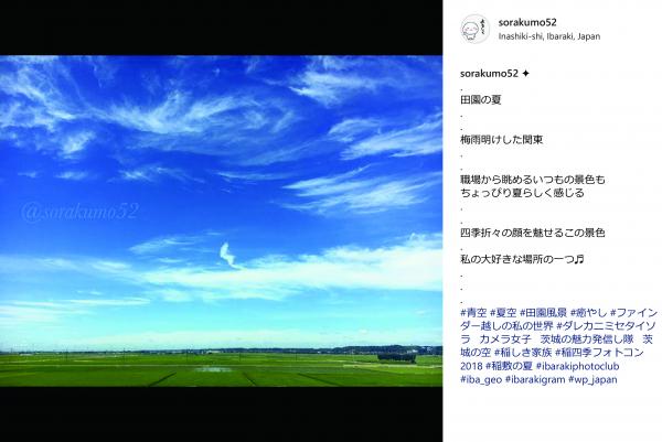 『summer_4』の画像