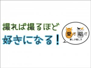 撮れば撮るほど、好きになるの写真
