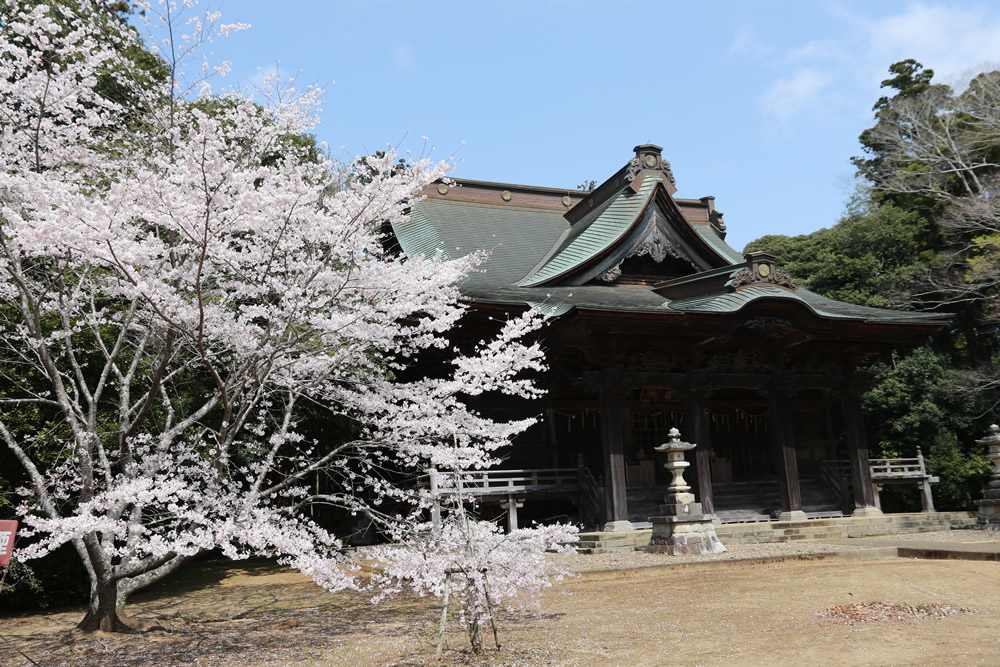 『逢善寺（新利根地区）』の画像